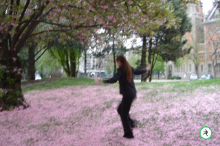 Gambade dans les p�tales de fleurs