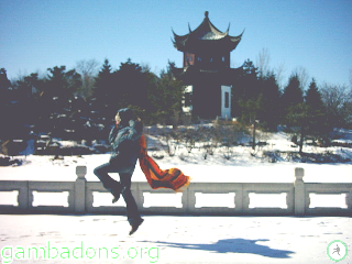 Gambadeuse au Japon ?