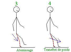 Mouvement de gambade (r�ception et transfert de poids)
